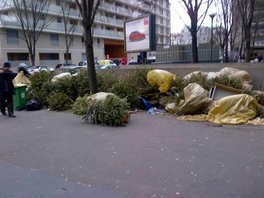 Photo d'un amas de sapins abandonnés dans la rue aprés les fetes