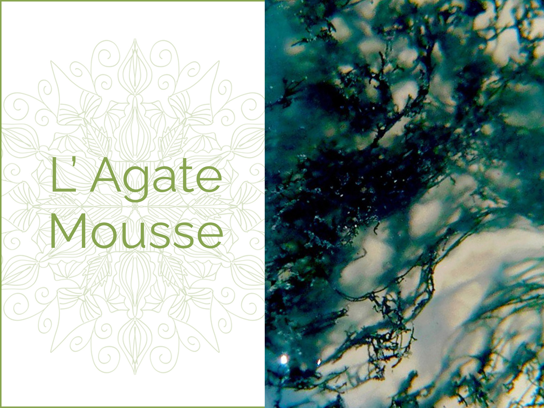 Photo gros plan d'une pierre d'Agate Mousse