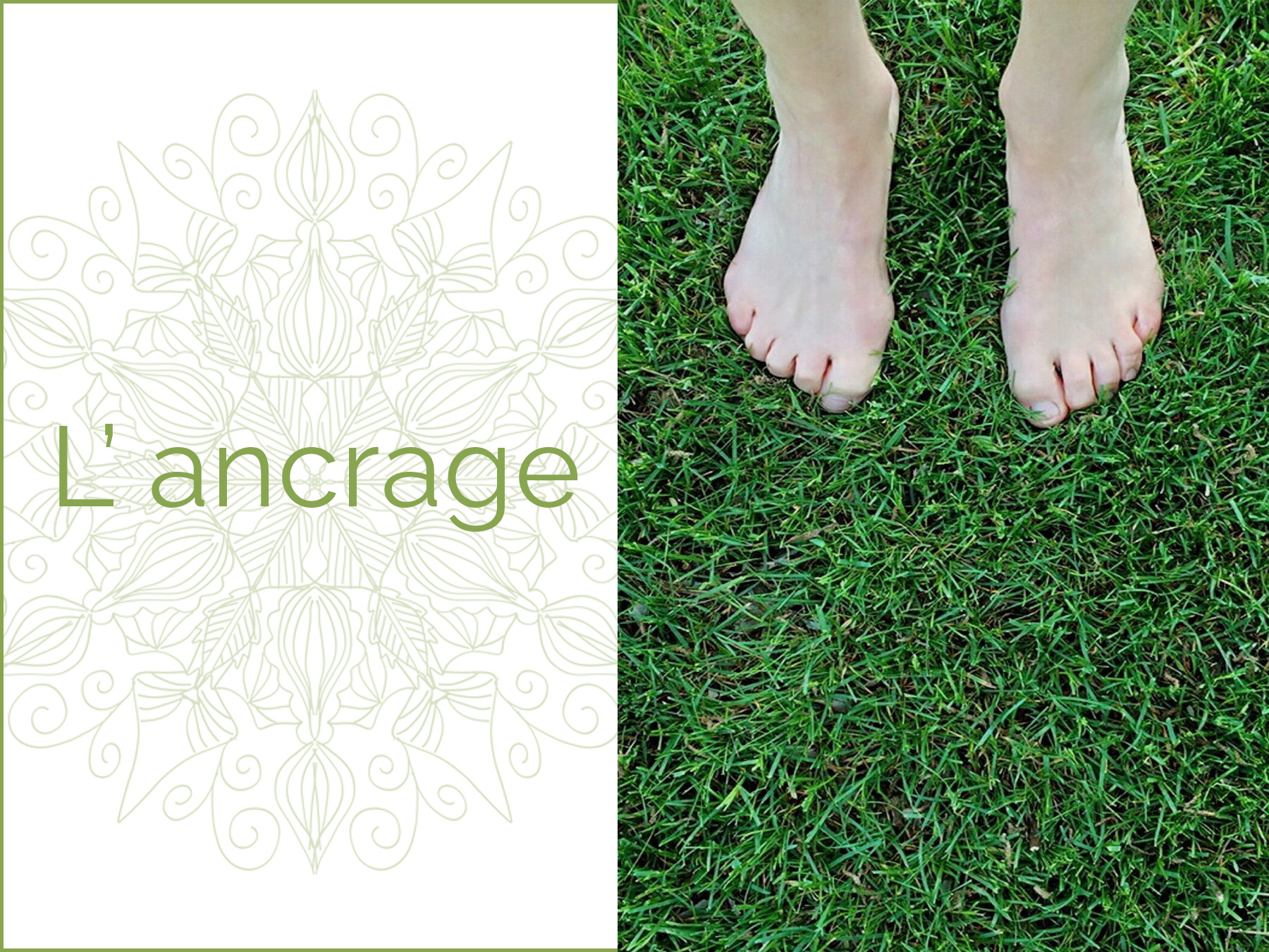 Photo de deux pied dans l'herbe