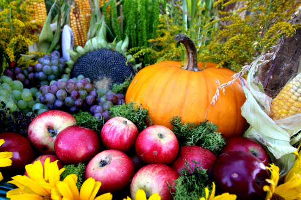 Photo de fruits et legumes de saion d'automne