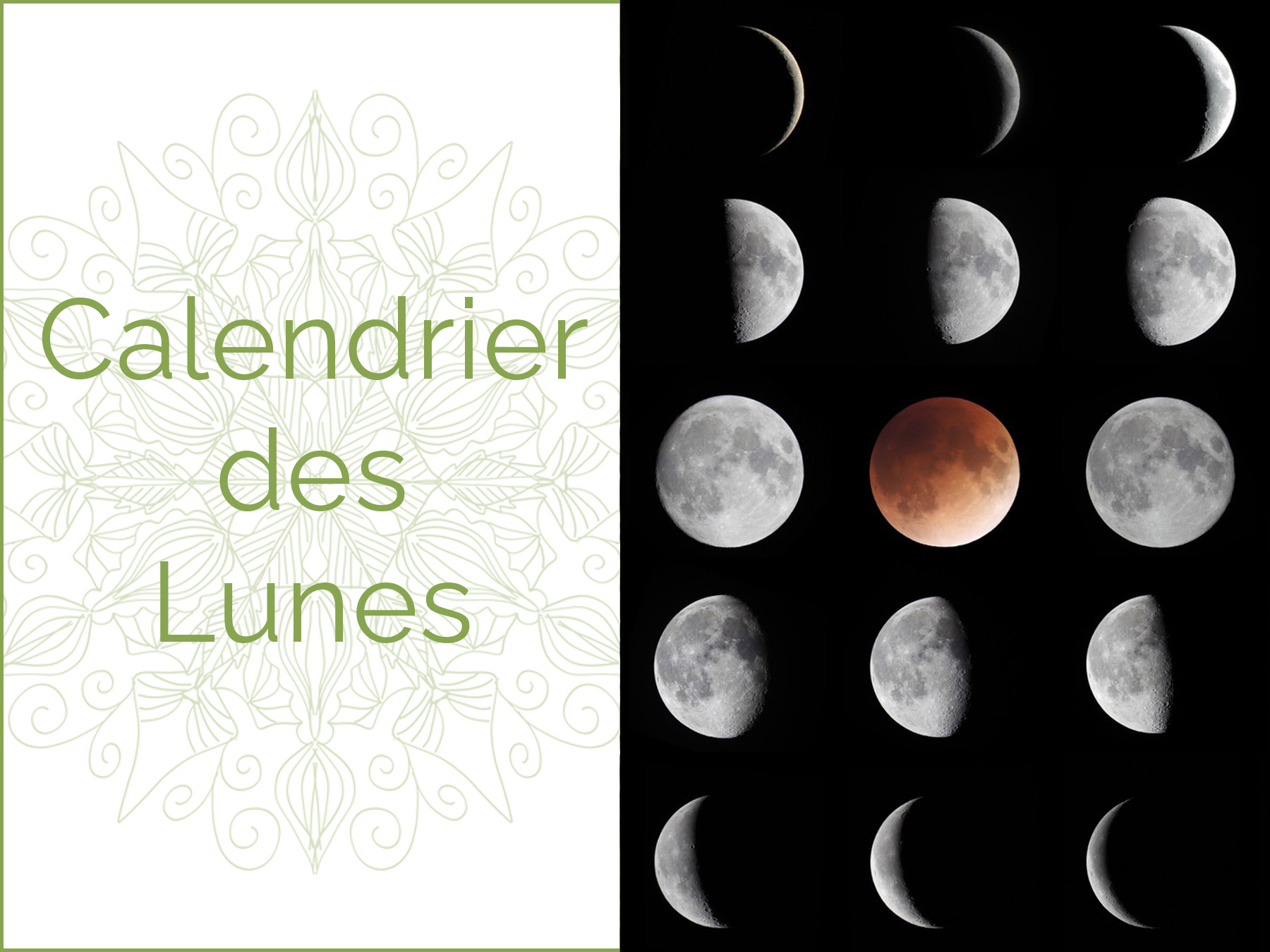 Photo des diffrentes phases lunaires