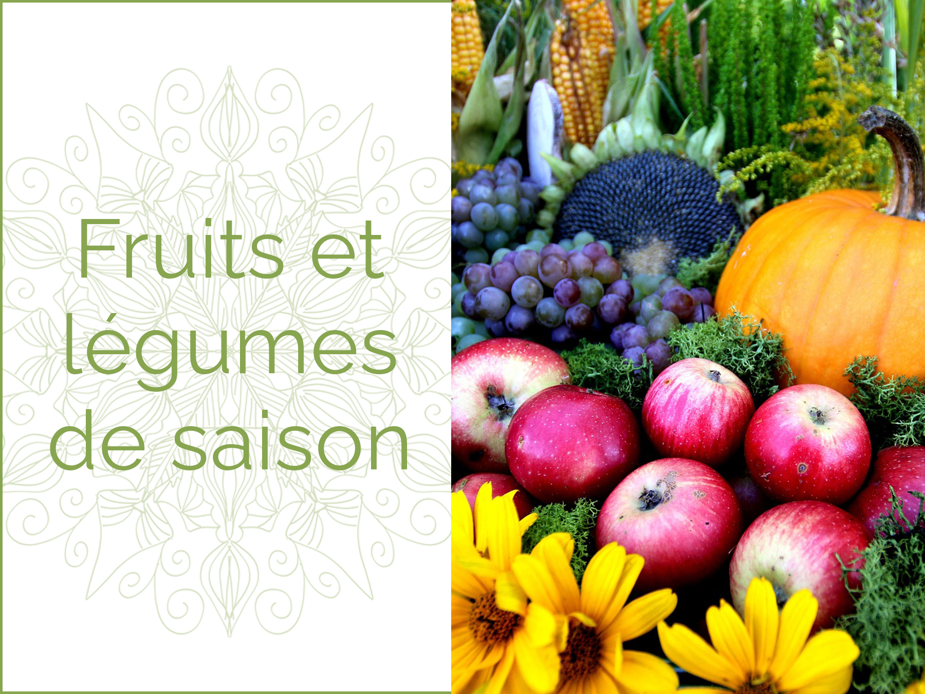 Photo de fruits et legumes de saion d'automne