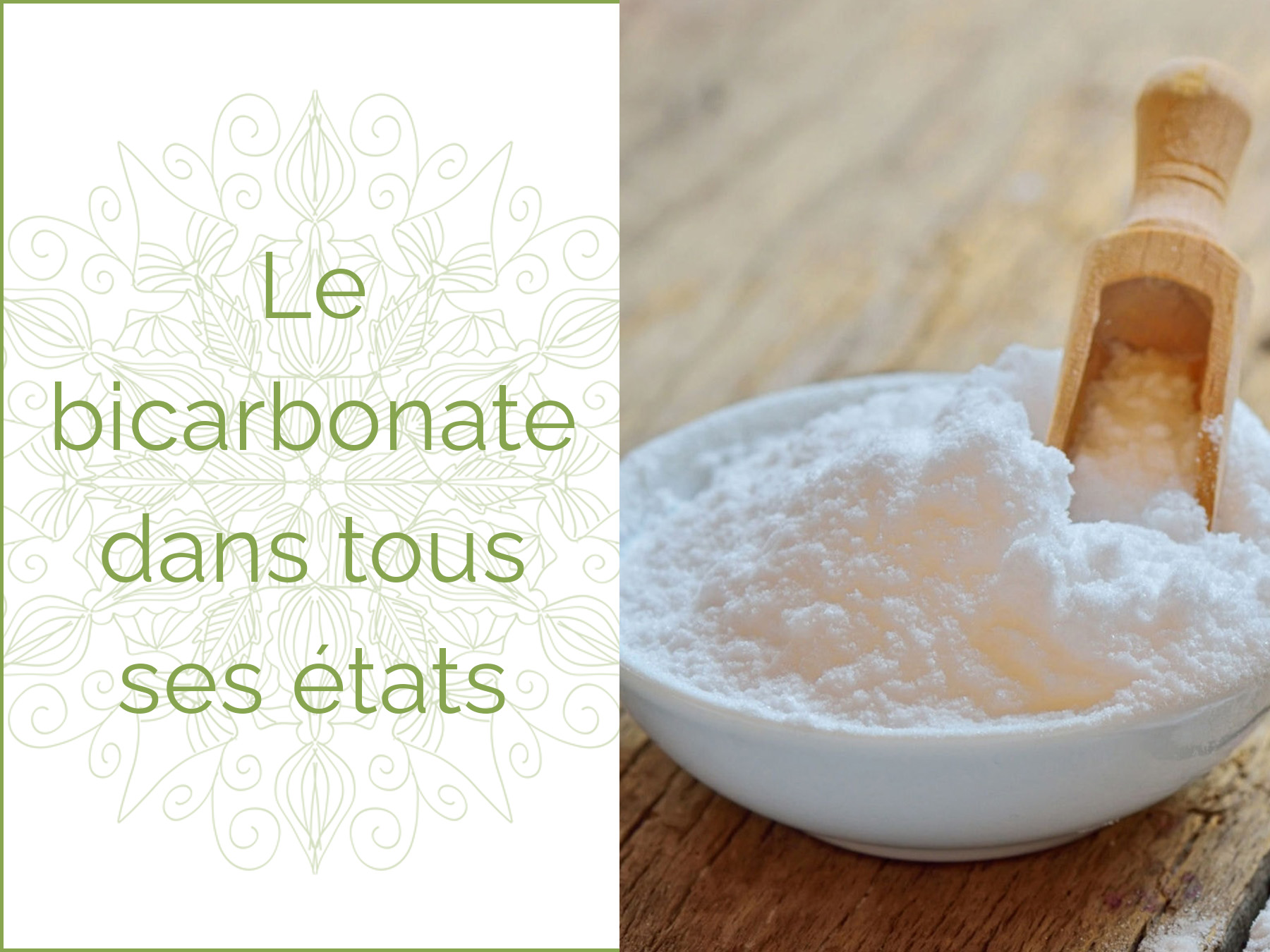 Photo d'une coupelle de bicarbonate de sodium