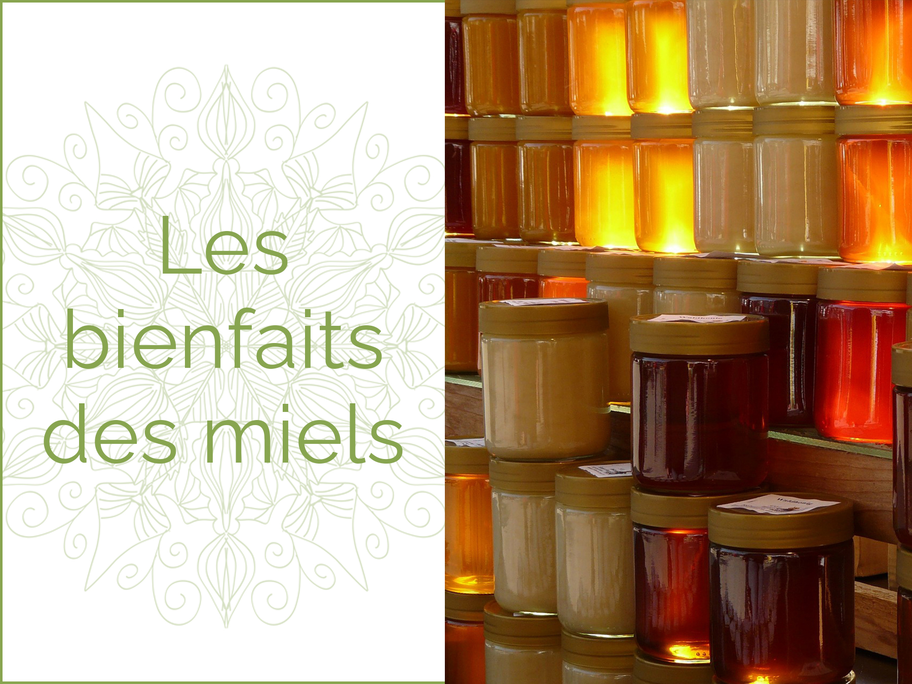 Photo d'une pile de pots de miel