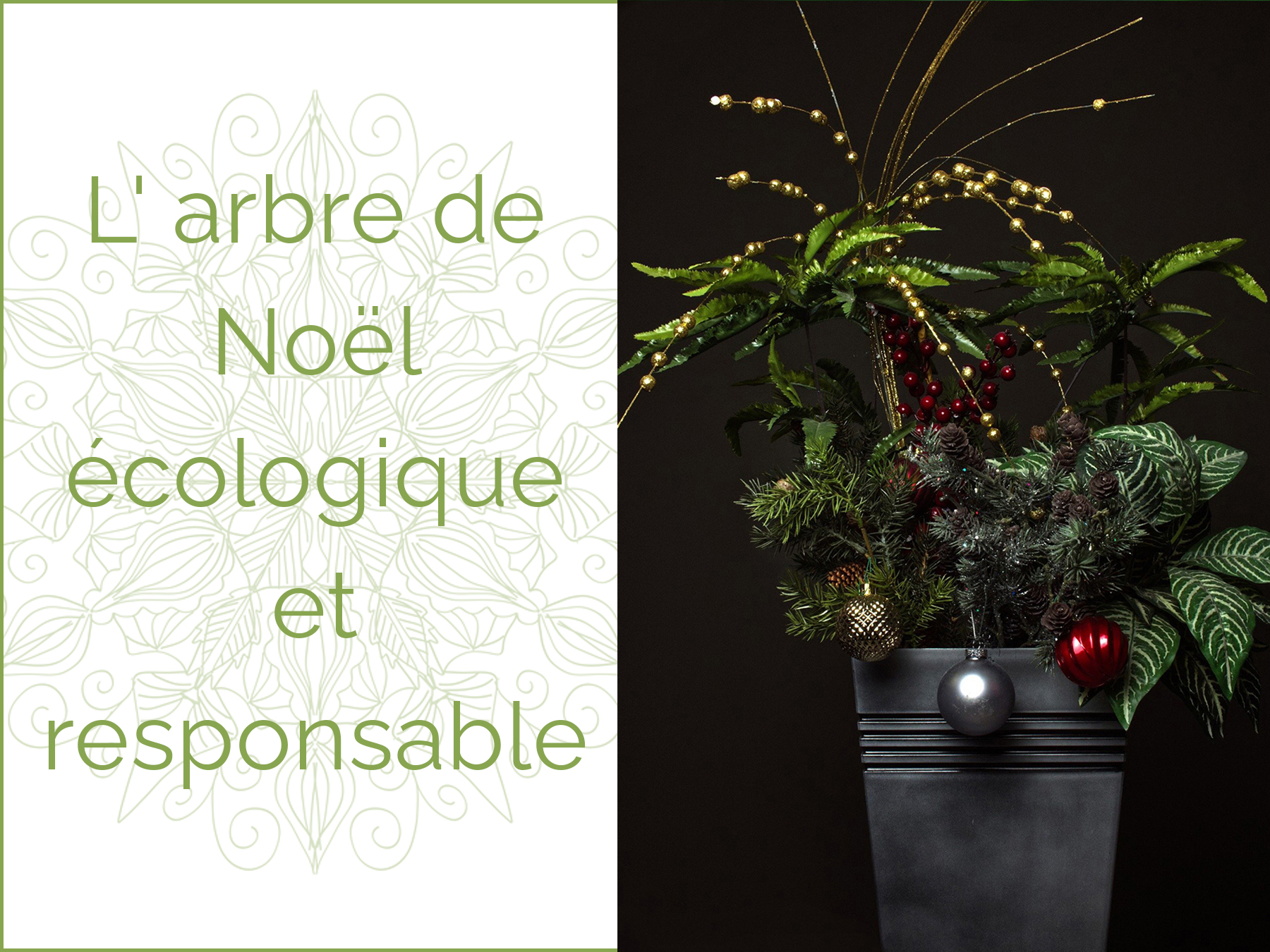 Une plante verte en guise d'arbre de noel avec des boules et une guirlande lumineuse